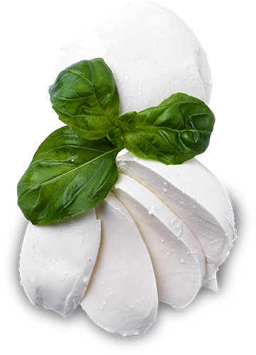 VEGMOZZ
